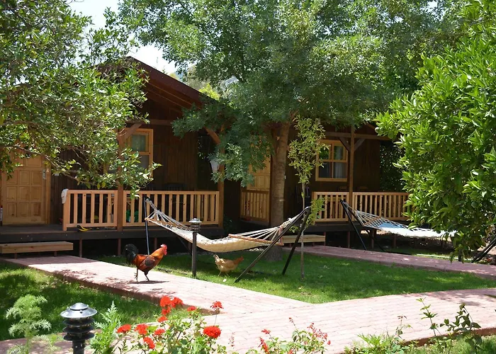 Caretta Caretta Pension