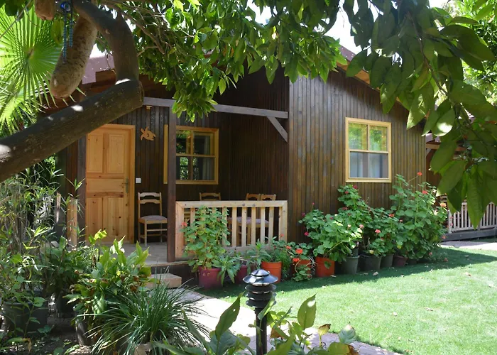 Caretta Caretta Pension