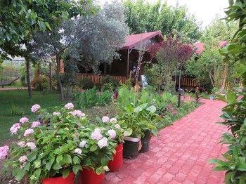 Gasthof Caretta Caretta 3*