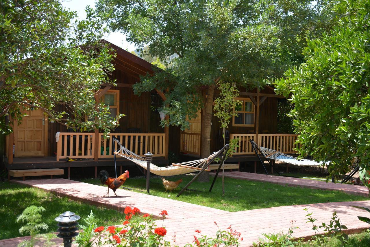 Gasthof Caretta Caretta Çıralı